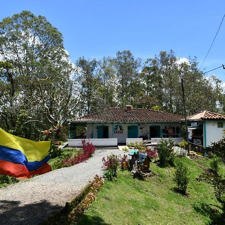 Bacoa Hostel Guatape Luaran gambar