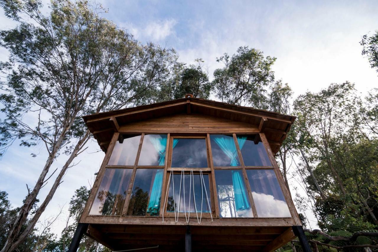 Bacoa Hostel Guatape Luaran gambar