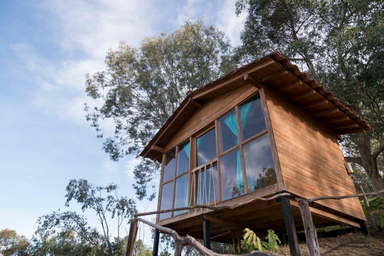 Bacoa Hostel Guatape Luaran gambar